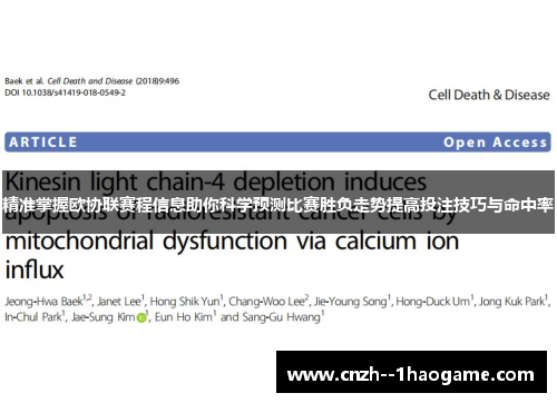 精准掌握欧协联赛程信息助你科学预测比赛胜负走势提高投注技巧与命中率 精准掌握欧协联赛程信息助你科学预测比赛胜负走势提高投注技巧与命中率